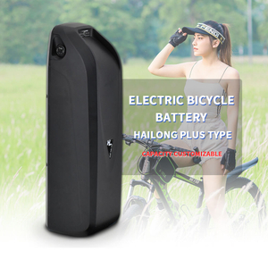 36 V 48 V Hailong Bateria DownTube Bicicleta Elétrica Bicicleta Estrada Mountain Bike Bateria de Lítio Bateria E-bike 36 V Para Venda